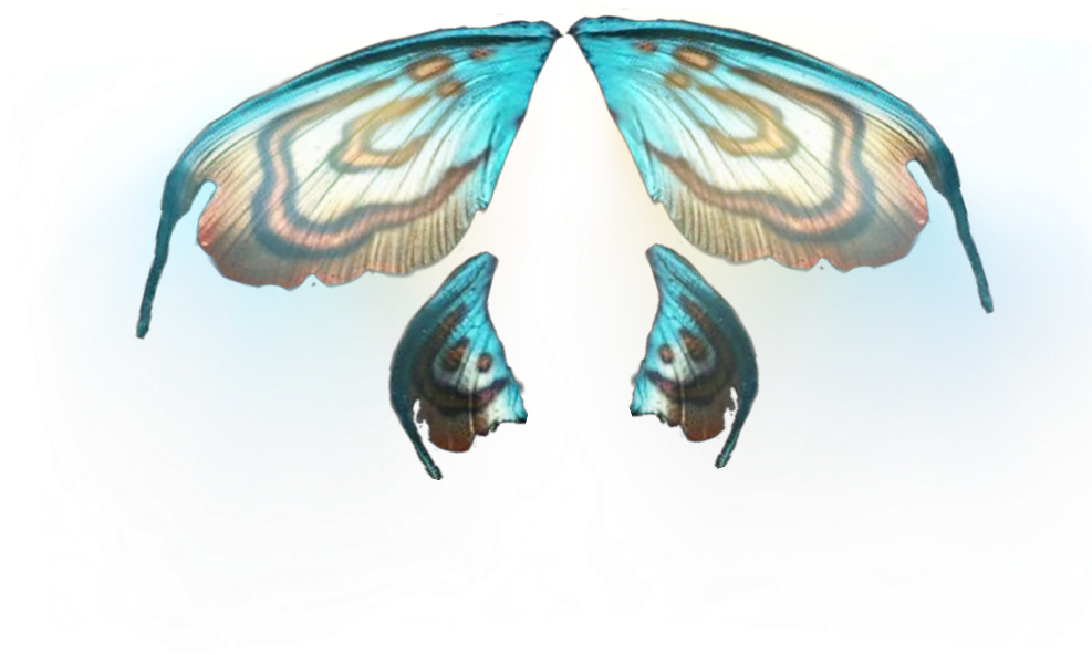 Butterfly Wing Fairy Design PNG image