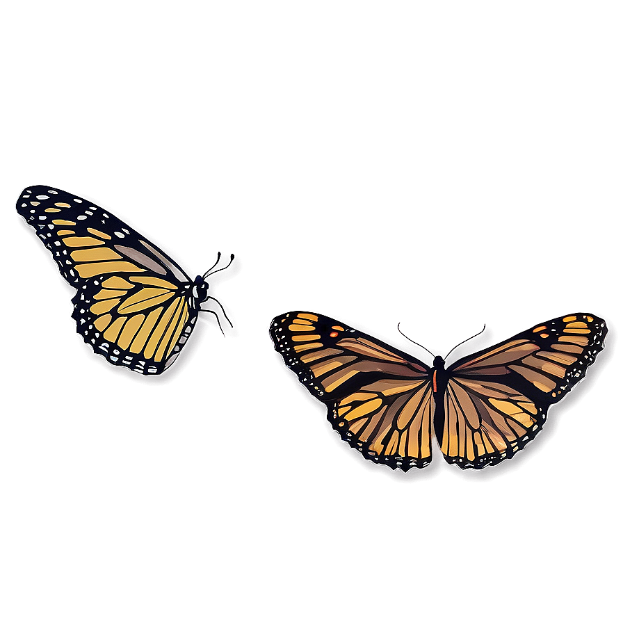 Butterfly Wing Outline Png 75 PNG image