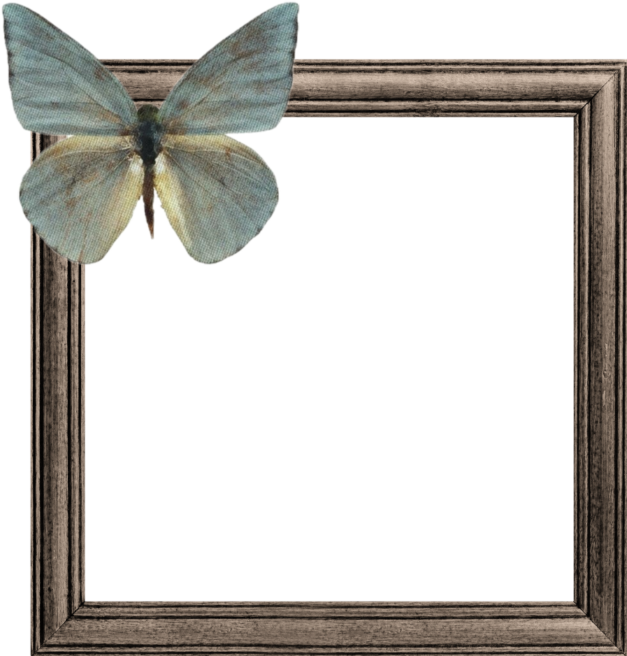 Butterflyon Wooden Frame PNG image