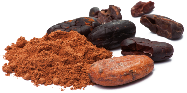 Cacao Beansand Powder PNG image