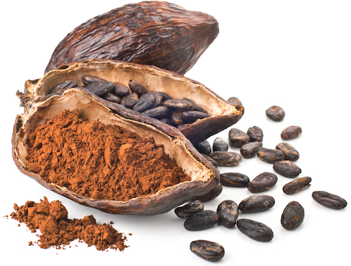 Cacao Pod Beansand Powder PNG image