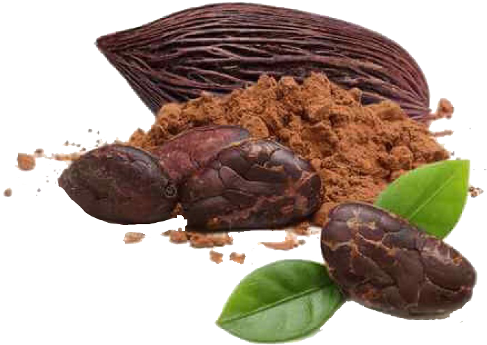 Cacao Podsand Powder PNG image