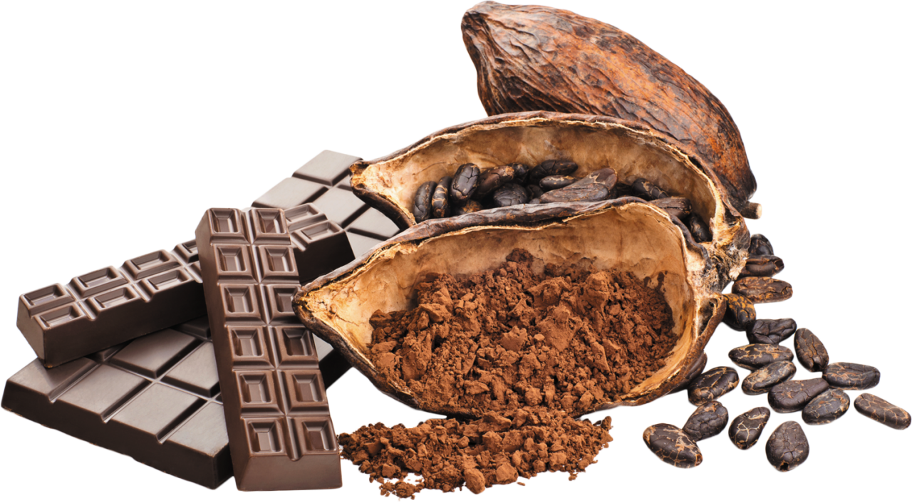 Cacaoto Chocolate Transformation PNG image