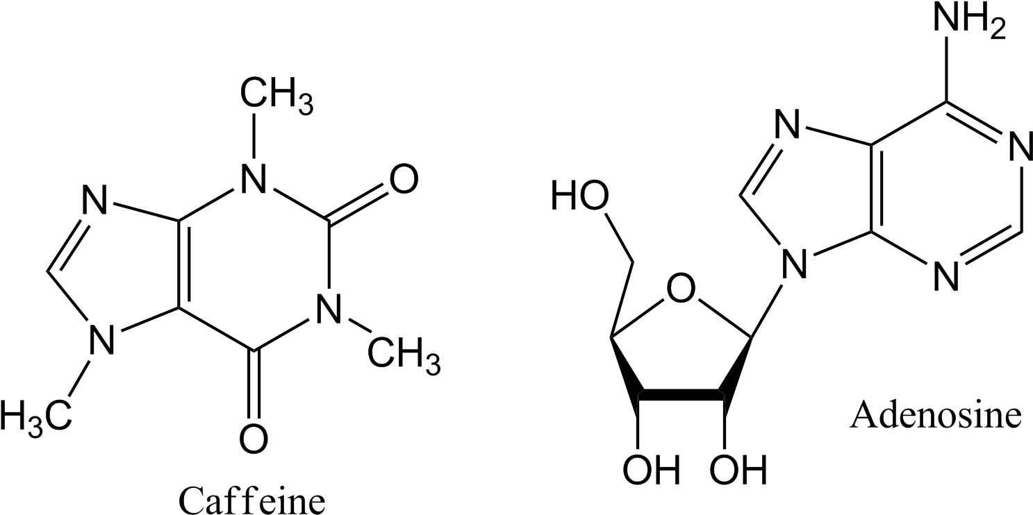 Caffeine_and_ Adenosine_ Chemical_ Structures PNG image