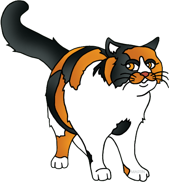 Calico Cat Cartoon Illustration PNG image