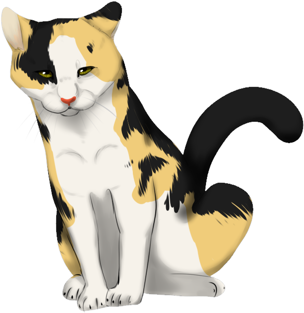 Calico Cat Illustration PNG image