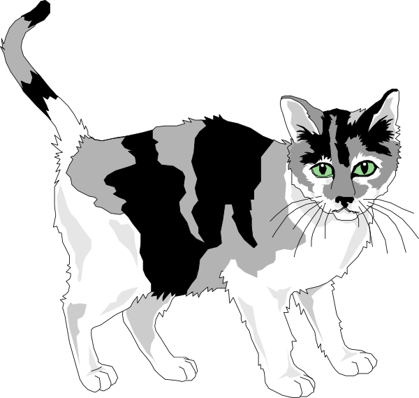 Calico Cat Illustration.png PNG image