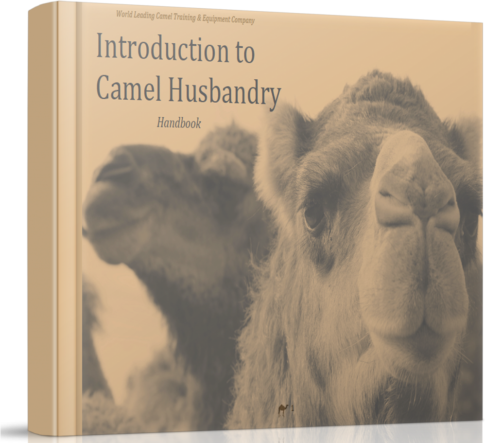 Camel Husbandry Handbook Cover PNG image