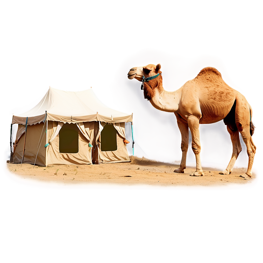 Camel With Tents Background Png 05212024 PNG image