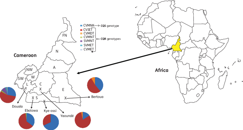 Cameroon Economic Indicators Africa Map PNG image