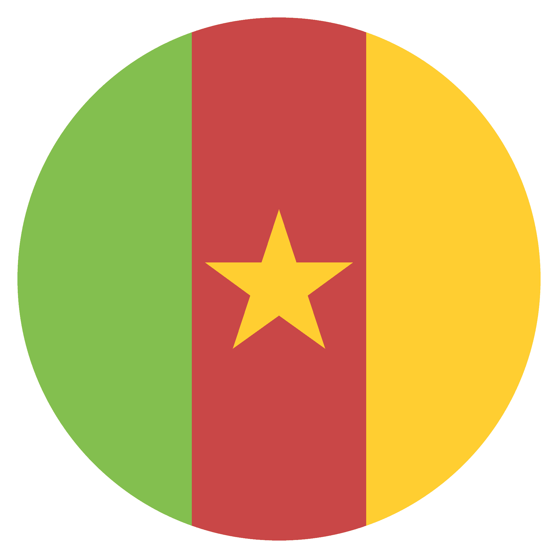 Cameroon National Flag PNG image