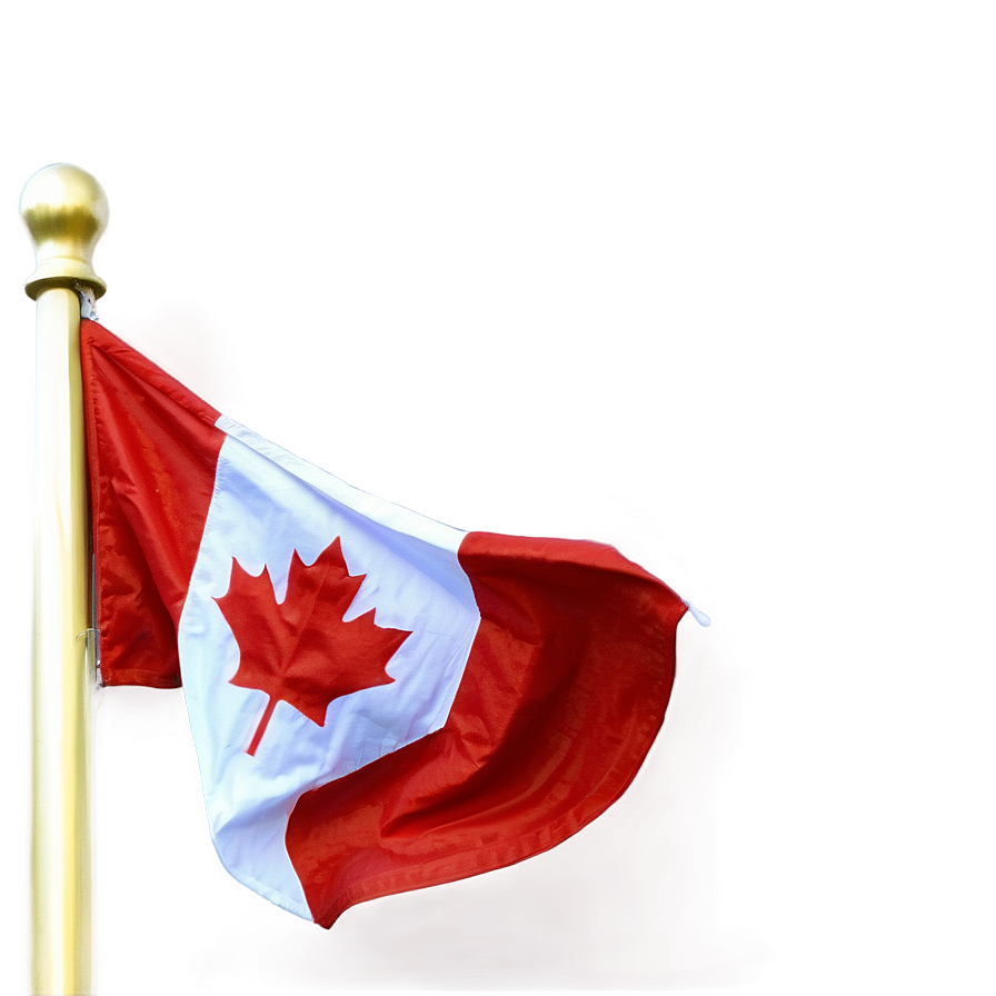 Canada Flag Maple Leaf Close-up Png 1 PNG image