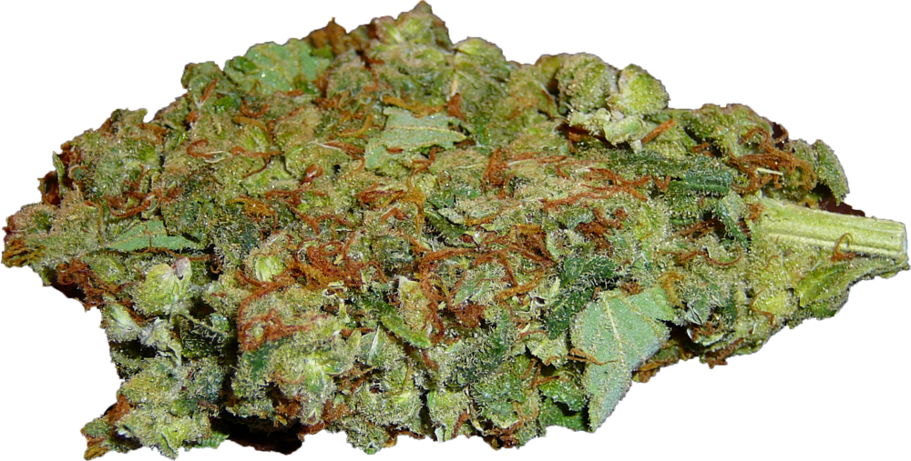 Cannabis Bud Closeup.png PNG image