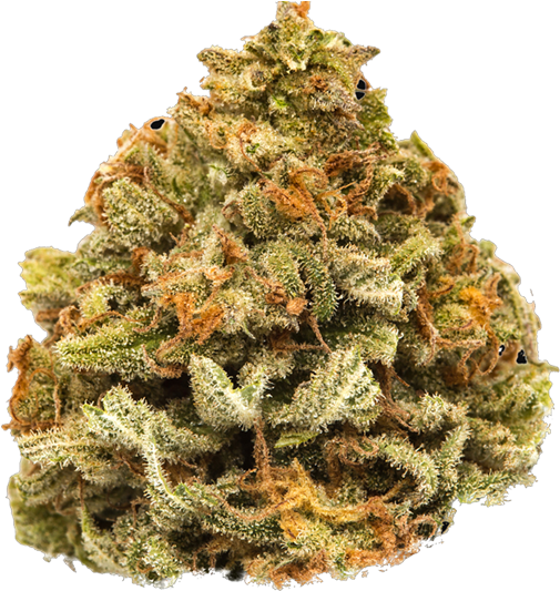 Cannabis Bud Closeup PNG image