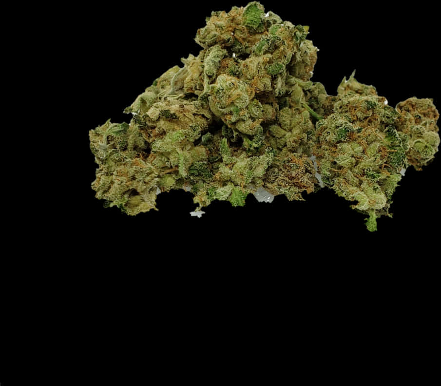 Cannabis Buds Black Background PNG image