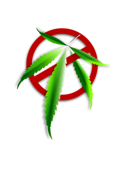 Cannabis Leaf No Sign PNG image