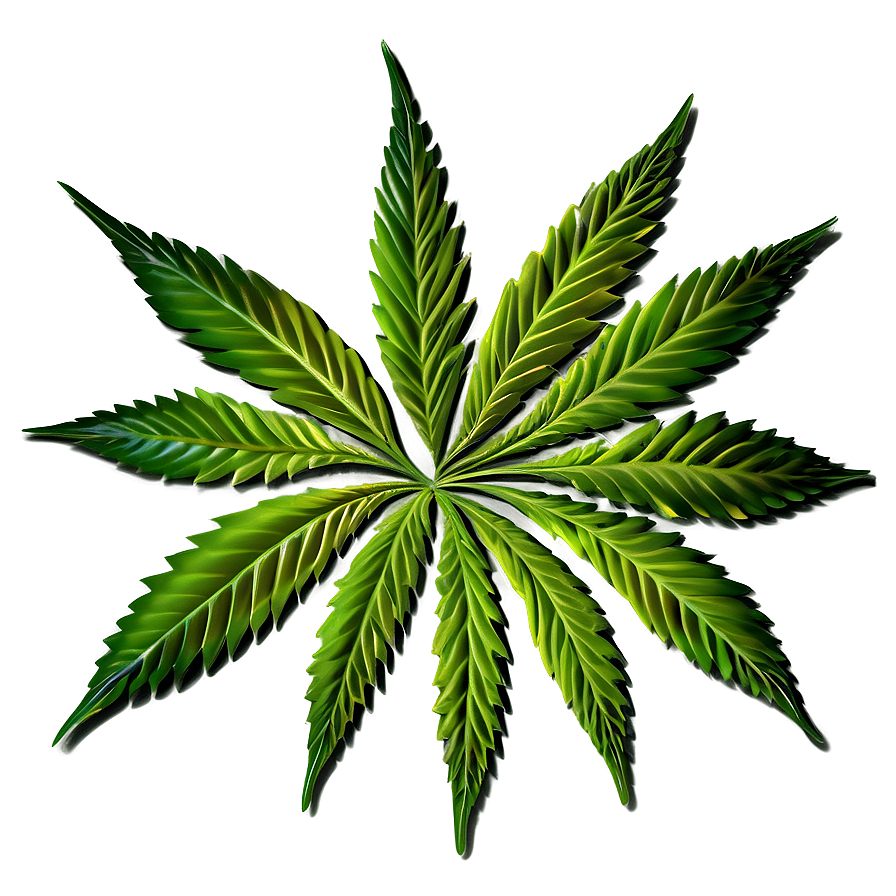Cannabis Leaf Pattern Png 74 PNG image