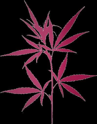 Cannabis Leaf Silhouette PNG image