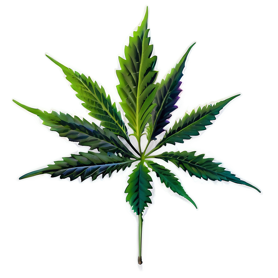 Cannabis Plant Png 15 PNG image