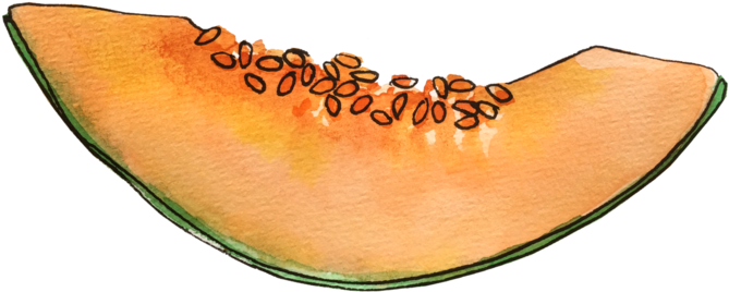 Cantaloupe Slice Illustration PNG image