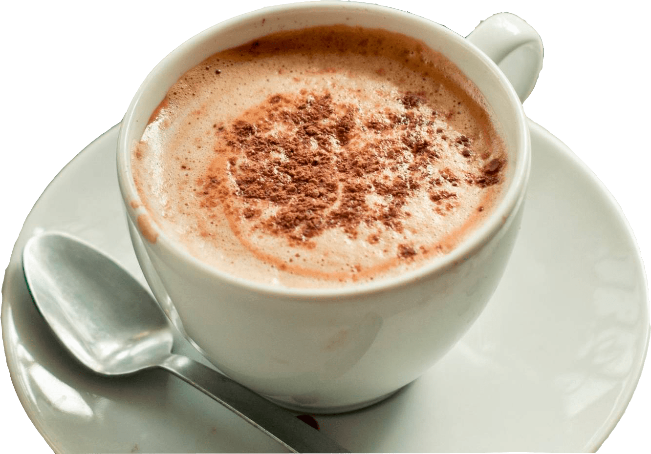 Cappuccino Cupwith Cinnamon Sprinkle PNG image