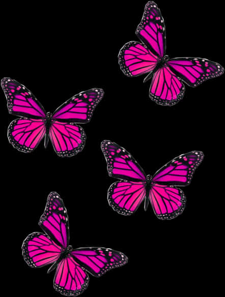 Captivating Image Of A Pink Butterfly PNG image