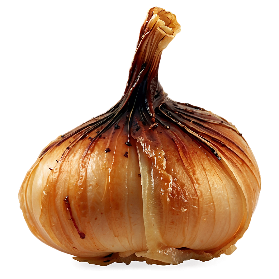 Caramelized Onion Garnish Png 58 PNG image