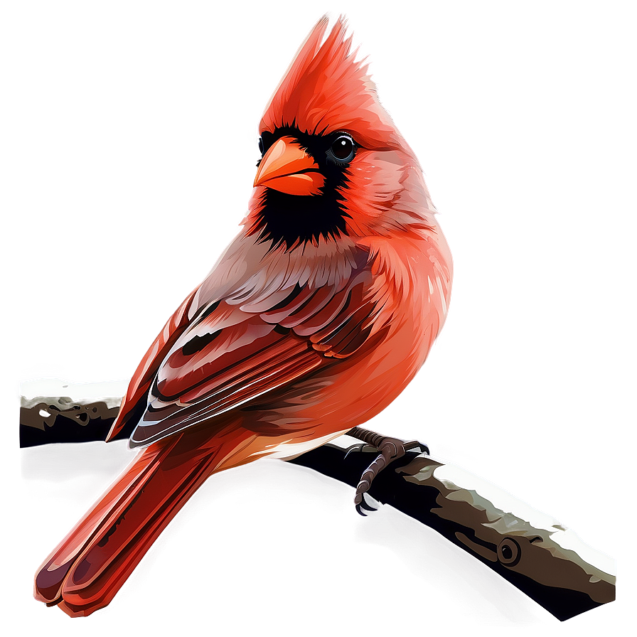 Cardinal Bird Vector Png Igp PNG image