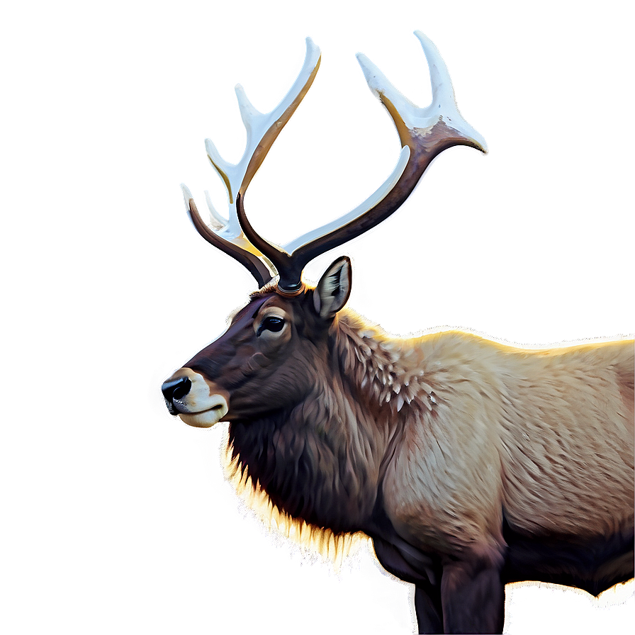 Caribou By The Northern Sea Png 94 PNG image