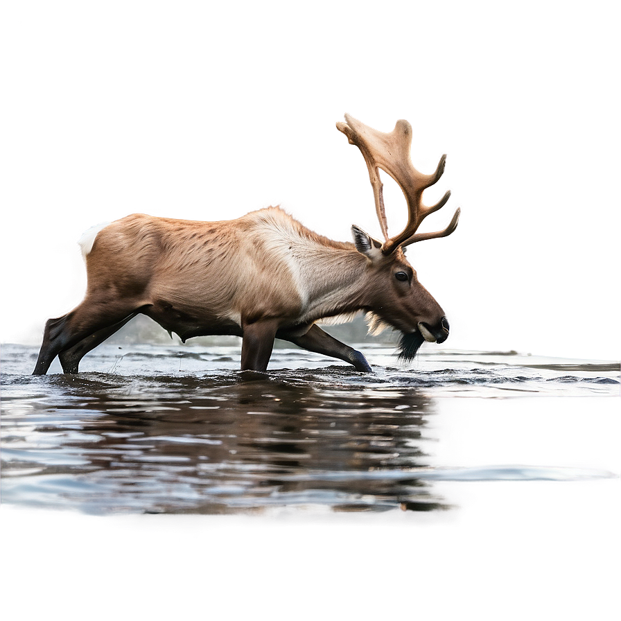 Caribou Crossing River Png Mdg22 PNG image