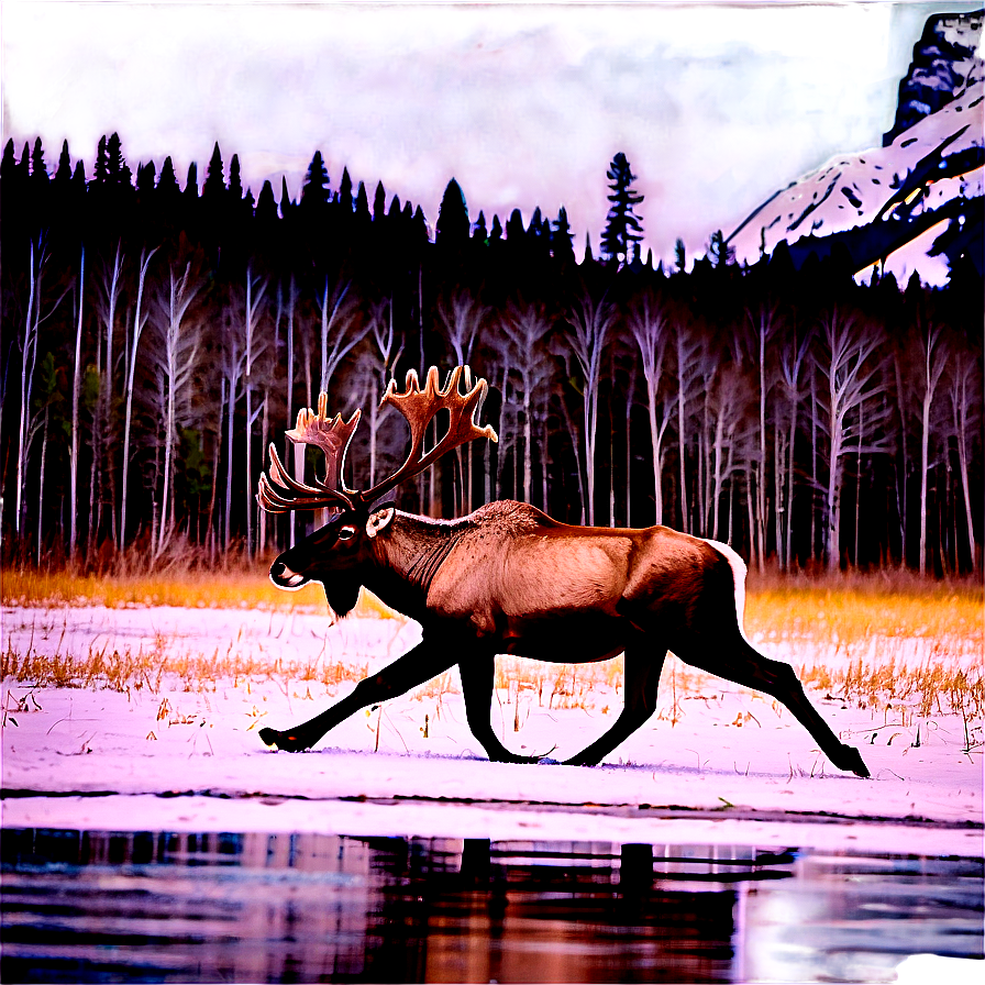 Caribou Crossing Snowy Field Png 06292024 PNG image