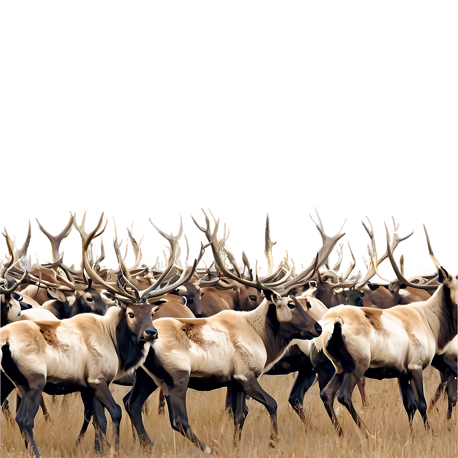 Caribou Herd Against Mountains Png 14 PNG image