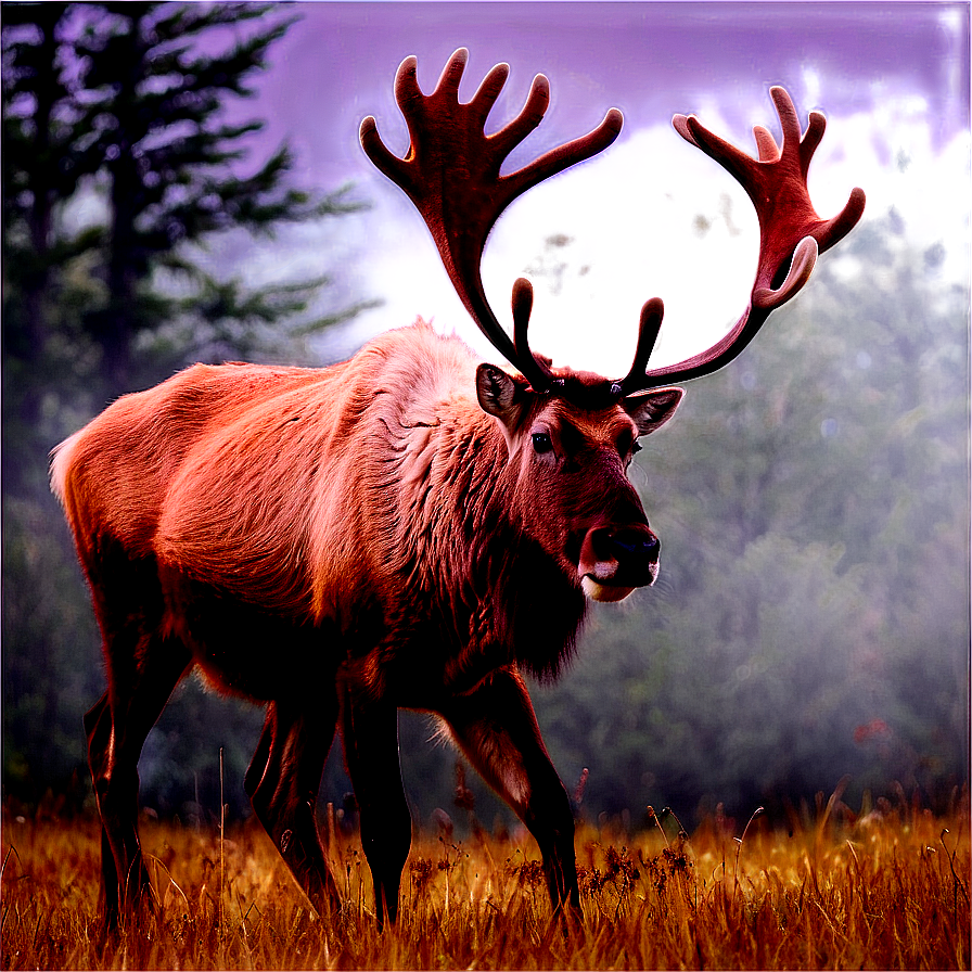 Caribou In Misty Morning Png Jnw PNG image