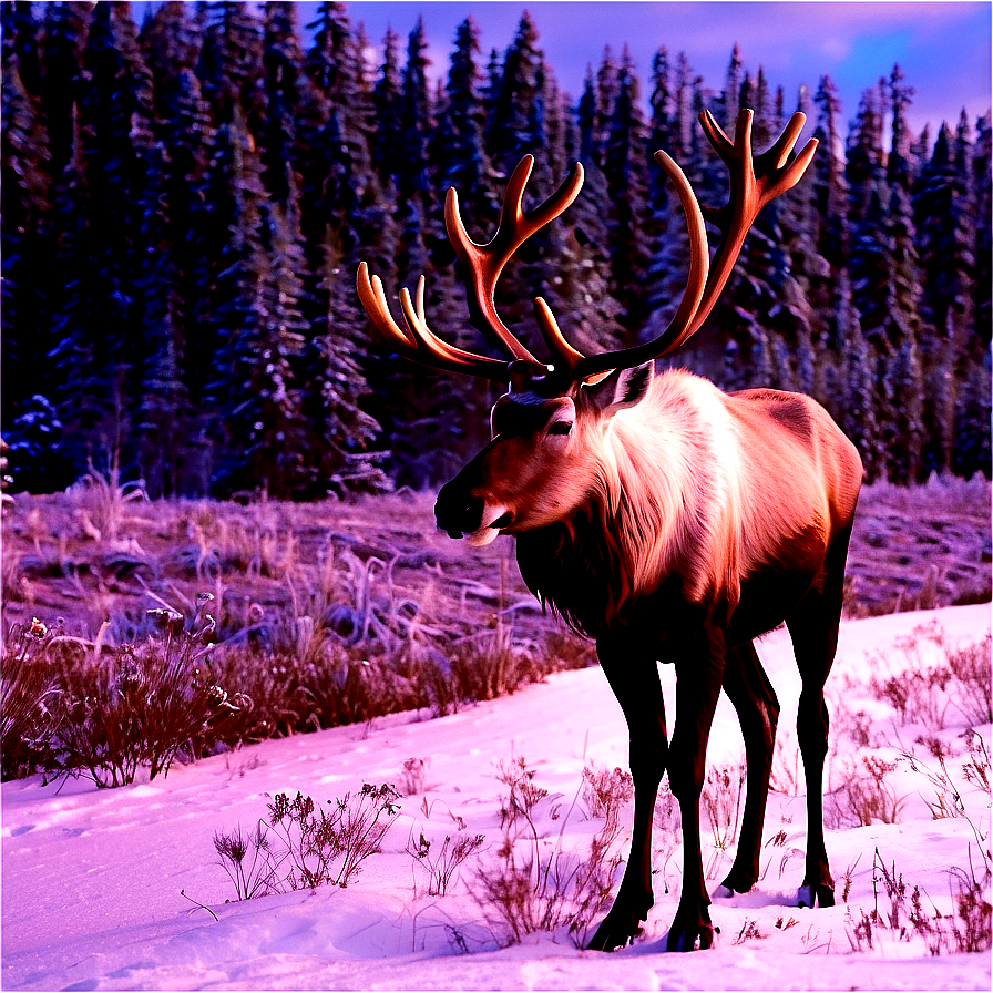 Caribou In Winter Wonderland Png 32 PNG image