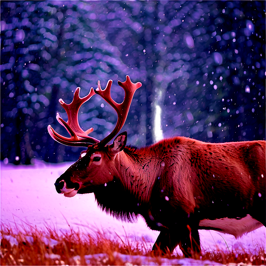 Caribou In Winter Wonderland Png 35 PNG image