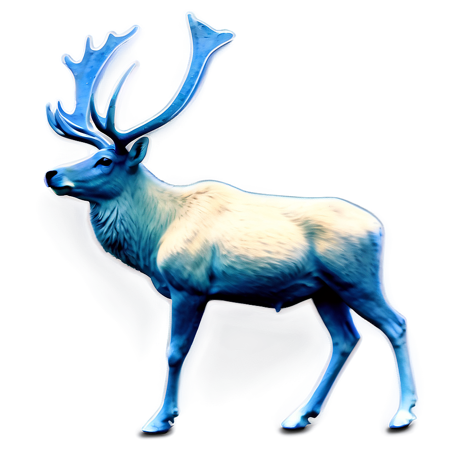 Caribou Under Starry Sky Png 67 PNG image