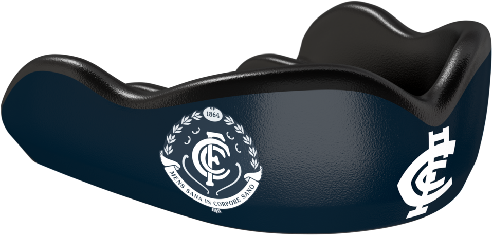 Carlton Football Club Saddle PNG image