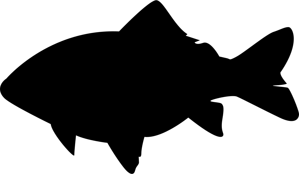 Carp Silhouette Graphic PNG image