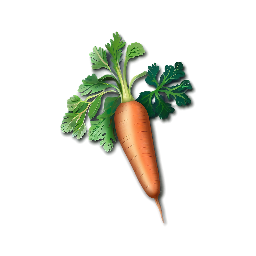 Carrot Drawing Png 43 PNG image