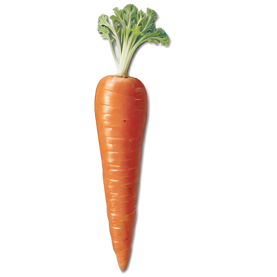 Carrot Garnish Png Yyy PNG image