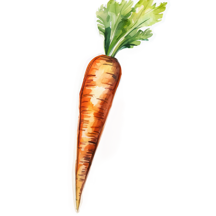 Carrot Watercolor Png 79 PNG image