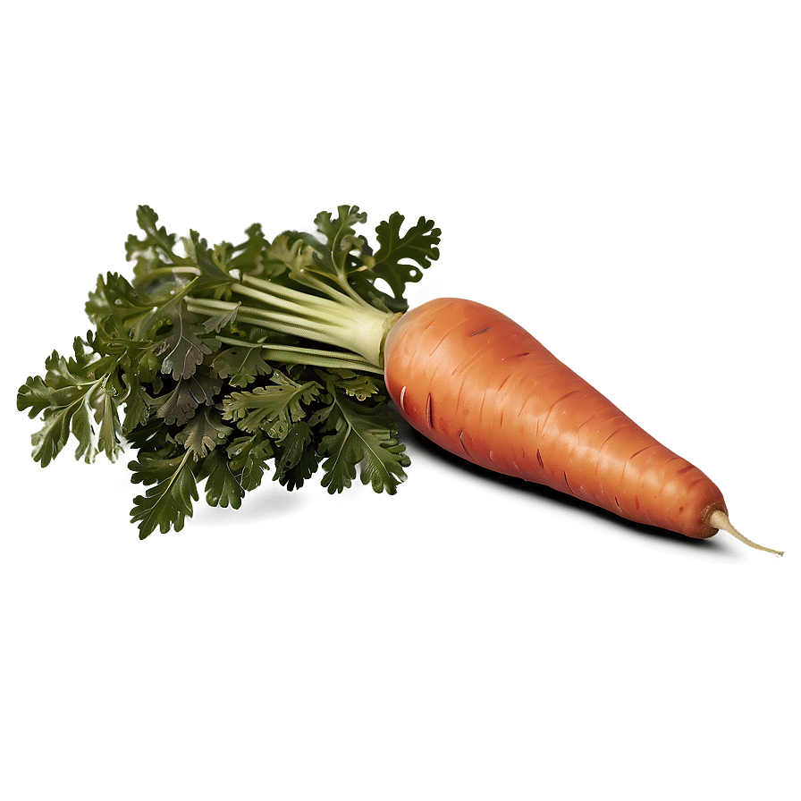 Carrot With Leaves Png 51 PNG image