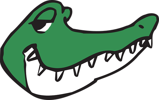 Cartoon Alligator Head Graphic PNG image