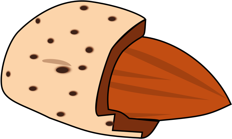 Cartoon Almond Half Shell PNG image