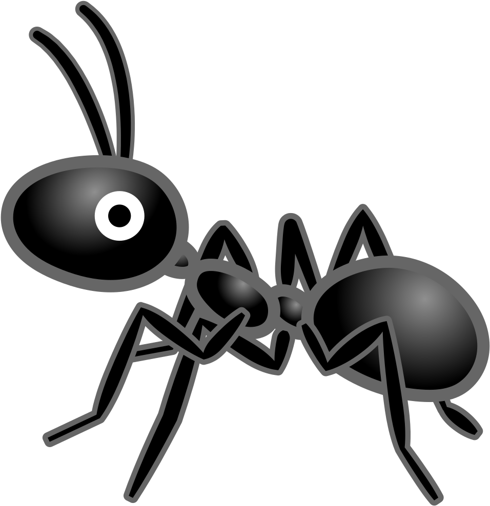 Cartoon Ant Illustration PNG image