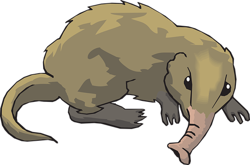 Cartoon Anteater Illustration PNG image