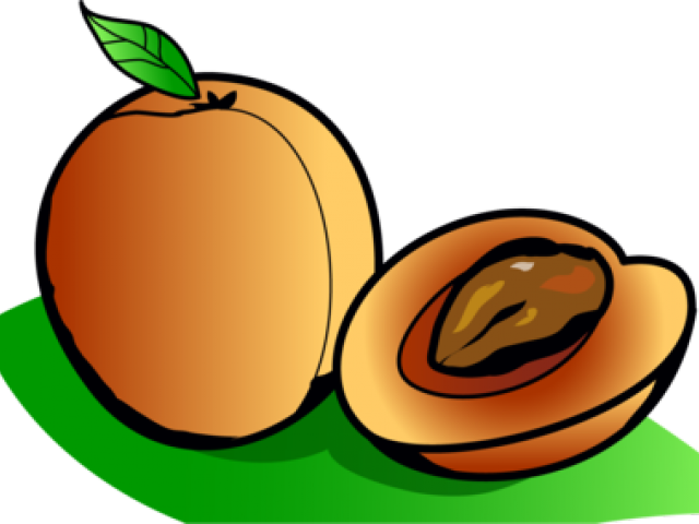 Cartoon_ Apricot_and_ Half_with_ Pit PNG image