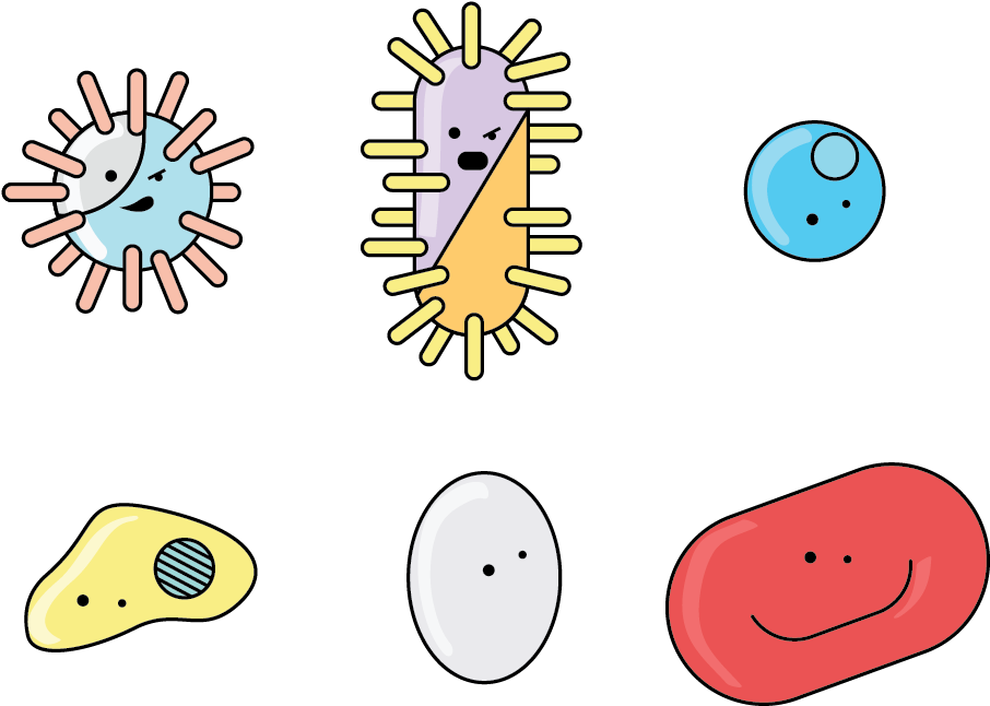 Cartoon Bacteria Characters PNG image