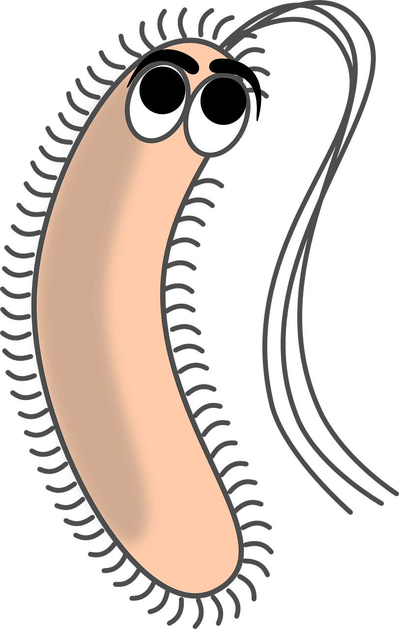 Cartoon Bacterium Character PNG image