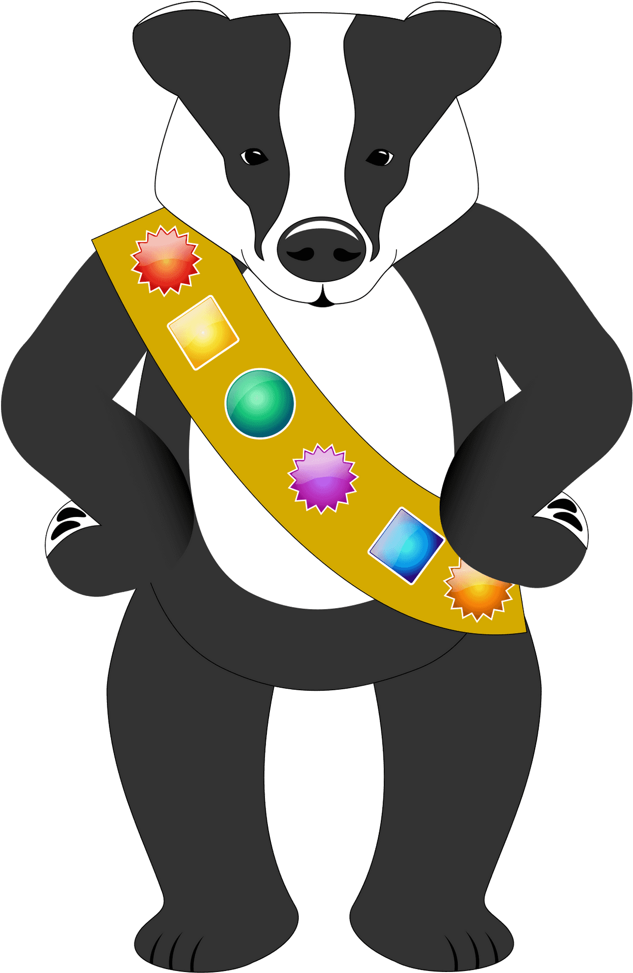 Cartoon Badger With Sash Illustration PNG image